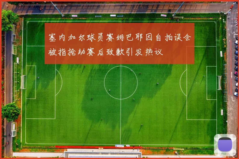塞内加尔球员赛姆巴耶因自拍误会被指抢劫赛后致歉引发热议