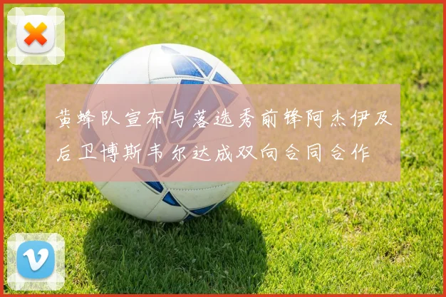 黄蜂队宣布与落选秀前锋阿杰伊及后卫博斯韦尔达成双向合同合作