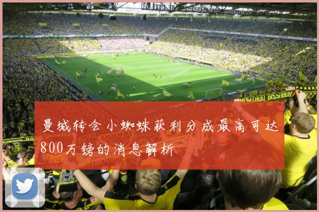 曼城转会小蜘蛛获利分成最高可达800万镑的消息解析